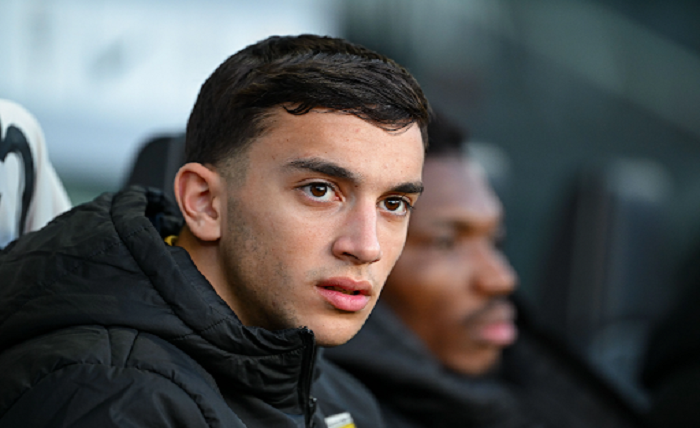 Montenegro's Star