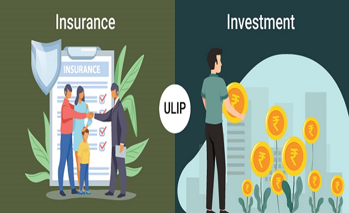 Investment Plan